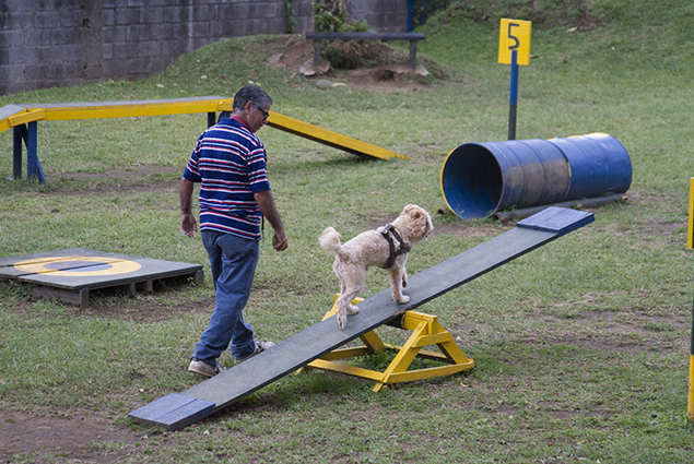 File:Parque público para perros, Curridabat.jpg - Wikimedia Commons